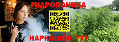 спайс Аргун