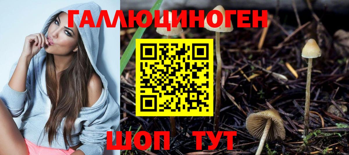 Псилоцибиновые грибы ЛСД Батайск